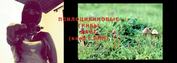 PSILOCYBIN Алзамай