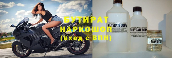 PSILOCYBIN Алзамай