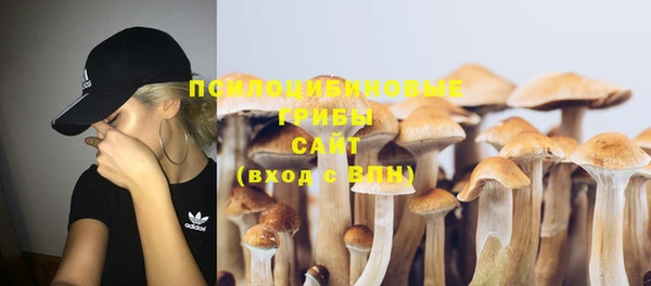 PSILOCYBIN Алзамай