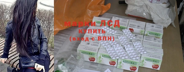 PSILOCYBIN Алзамай