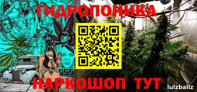 прущий лед Бийск