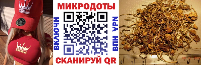Псилоцибиновые грибы Psilocybine cubensis  Коломна 