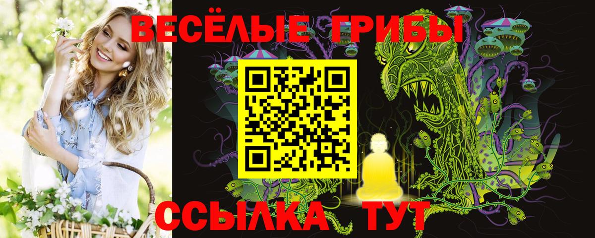 Псилоцибиновые грибы мицелий  Галлюциногенные грибы мухоморы  Коломна  Вход с VPN 